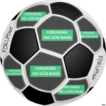 logo11.webp