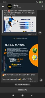 Screenshot_2021-02-27-22-58-17-778_org.telegram.messenger.webp