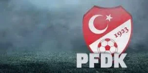 pfdk.webp