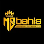 msbahis.webp