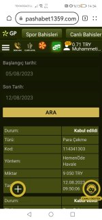 Screenshot_20230812_143407_com.huawei.browser.jpg