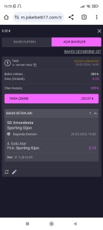Screenshot_2024-03-24-16-55-17-333_com.android.chrome.jpg