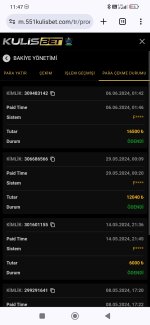 Screenshot_2024-06-06-11-47-07-236_com.android.chrome.jpg