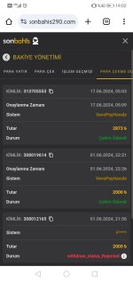 Screenshot_20240617_190218_com.android.chrome.jpg