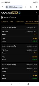 Screenshot_20240621_230217_com.android.chrome.jpg