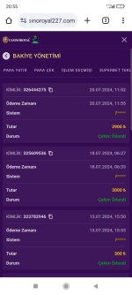 Screenshot_2024-07-20-20-55-44-539_com.android.chrome.jpg