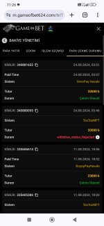 Screenshot_2024-08-24-11-26-19-258_com.android.chrome.jpg