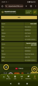 Screenshot_2024-10-16-21-07-12-638_com.android.chrome.jpg