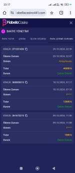 Screenshot_2024-10-29-23-17-14-718_com.android.chrome.jpg