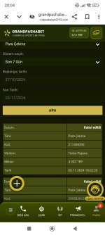 Screenshot_2024-11-03-20-04-06-856_com.android.chrome.jpg