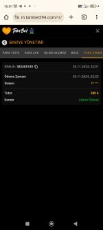 Screenshot_2024-11-21-16-01-10-845_com.android.chrome.jpg
