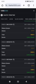 Screenshot_2024-11-29-00-12-29-269_com.android.chrome.jpg