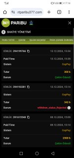 Screenshot_20241213_171407_com.android.chrome.jpg