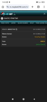 Screenshot_2024-12-26-19-05-55-931_com.android.chrome.jpg