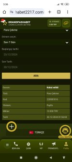 Screenshot_2024-12-30-03-36-35-084_com.android.chrome.jpg