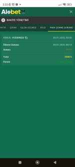 Screenshot_2025-01-28-02-23-21-196_com.android.chrome.jpg