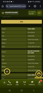 Screenshot_20250218_181909_Chrome.jpg