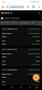 Screenshot_20250317_022752_com.android.chrome.jpg