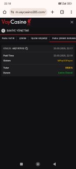Screenshot_2025-03-23-22-18-38-334_com.android.chrome.jpg