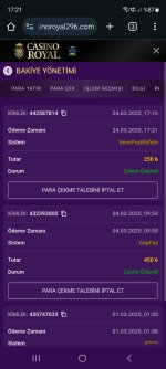 Screenshot_20250324_172119_Chrome.jpg