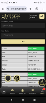 Screenshot_20250327-192429.png