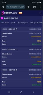 Screenshot_20250411_212500_Chrome.jpg