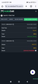 Screenshot_2025-04-19-00-20-02-440_com.android.chrome.jpg