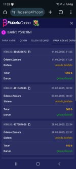 Screenshot_20250611_112852_Chrome.jpg