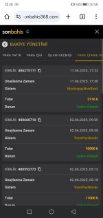 Screenshot_20250611_205835_com.android.chrome.jpg