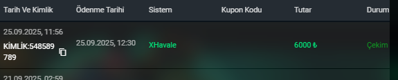 Ekran görüntüsü 2025-09-26 012946.png
