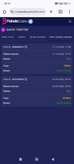 Screenshot_2025-10-11-18-14-09-936_com.android.chrome.jpg
