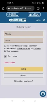 3.webp