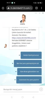 44.webp