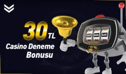 1645658113239.webp