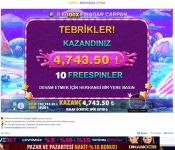 1646519082058.webp