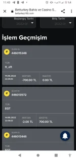 Screenshot_20220615-114345.webp