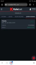 Screenshot_20220620-234753_Chrome.webp