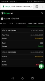Screenshot_20220626-182119.webp