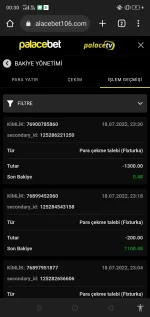 Screenshot_2022-07-19-00-30-04-35.jpg