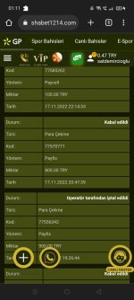 Screenshot_2022-11-18-01-11-16-81.jpg